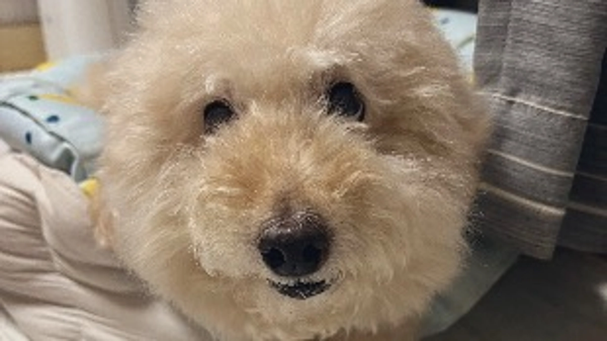 本日は通院の日でした！