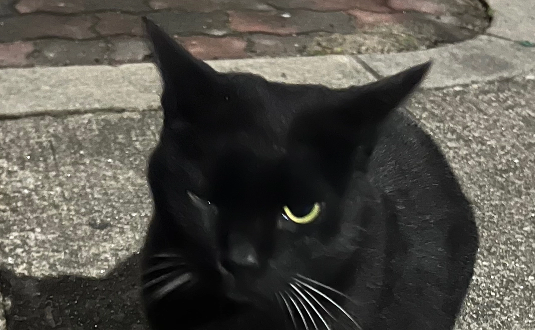 感謝のメール２