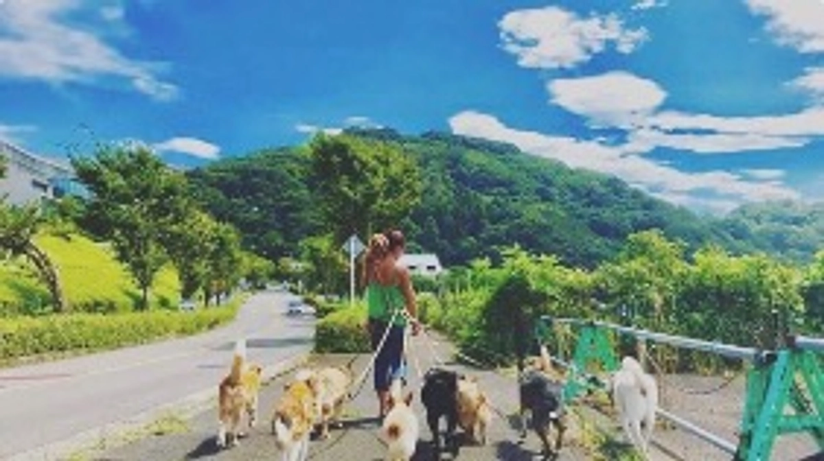 KDPさんの唯一のシェルターボランティアであるかよさんから応援メッセージをいただきました！