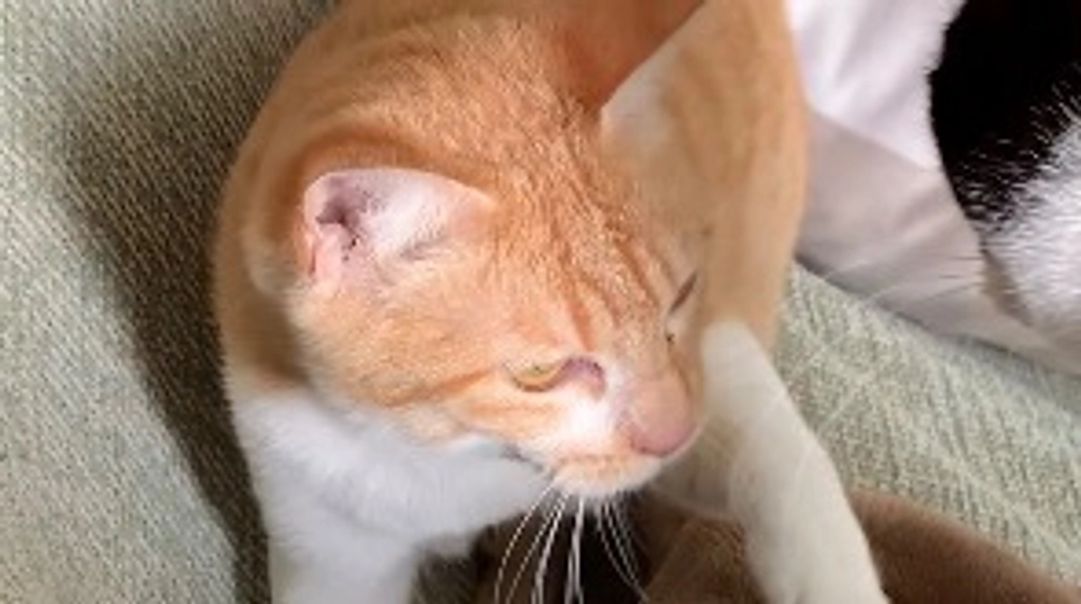 経過観察14日目（5/25）