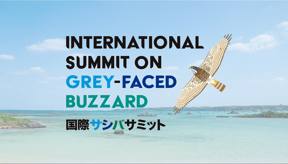 国際サシバサミット