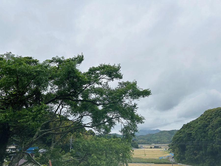 老犬看取りボランティアシェルターの全体像が撮れたので皆様に見て頂きたく、ご報告も兼ねて