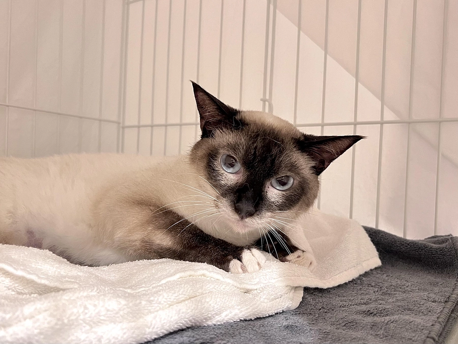 HPにお名前のご掲載をご希望くださった皆様へ～HPアップのご報告