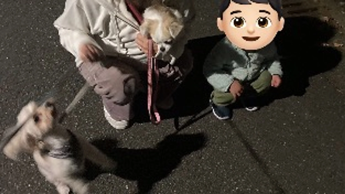 抱っこでお外に行きました🐶