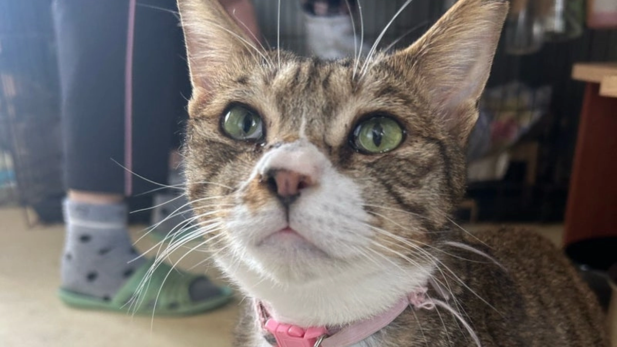 【もうすぐご支援者様530名突破！】ハピボの母、Tさん登場！