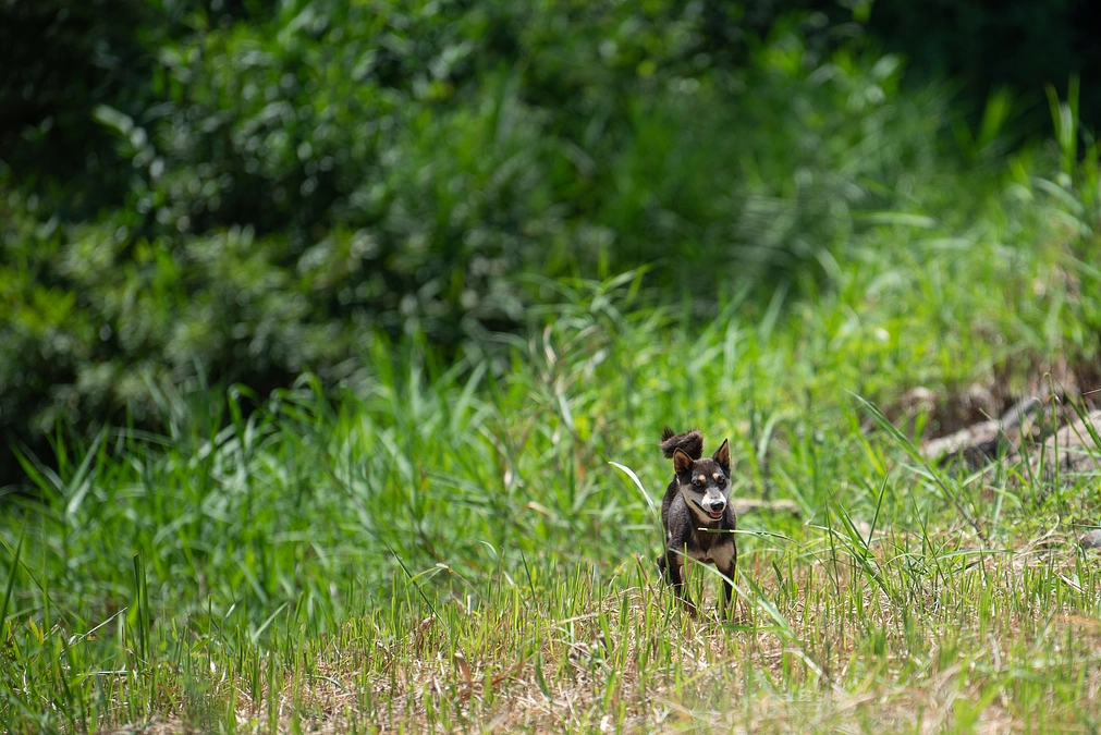 残り4日となりました！