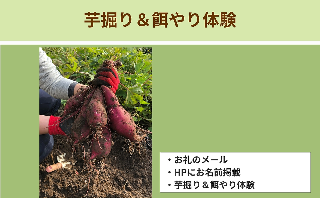 【リターン紹介】体験で応援｜芋掘り＆餌やり体験