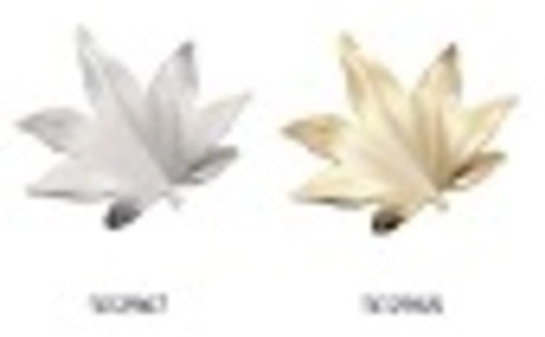 【日本製】もみじ 箸置 つや消し