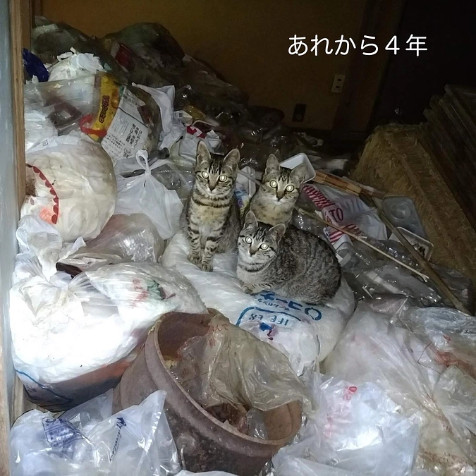 あれから4年が経ちました