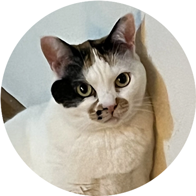 【活動報告】能登半島地震の件