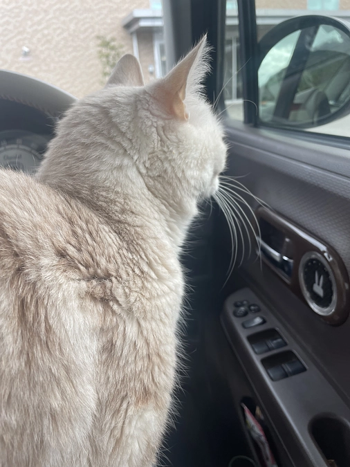 再診に行ってきました