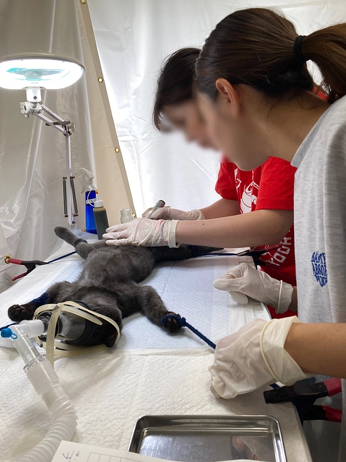 ８月末の現状報告とリターン発送のお知らせ