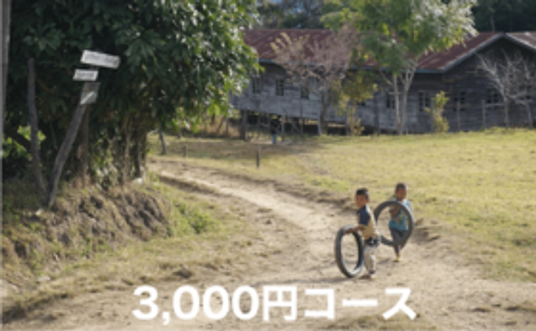 3,000円コース