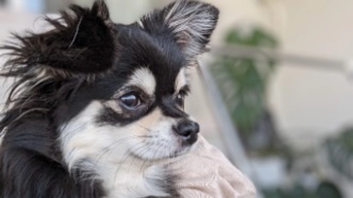 おはようございます✨