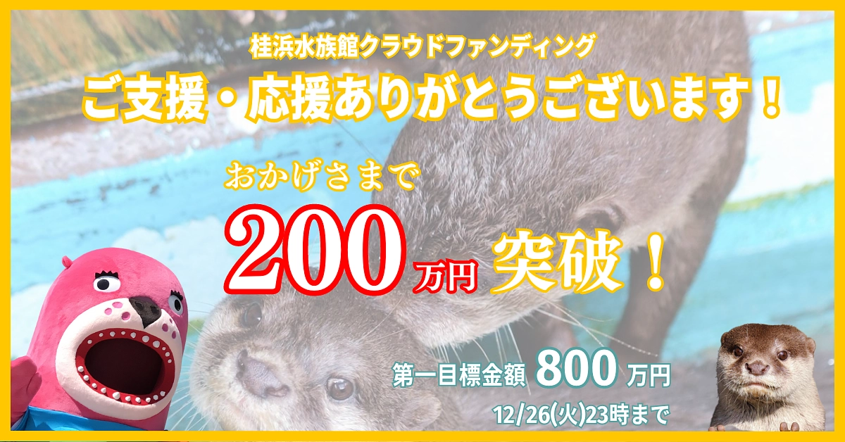 ありがとうございます！おかげさまで200万円突破！第一目標達成まであと600万円です