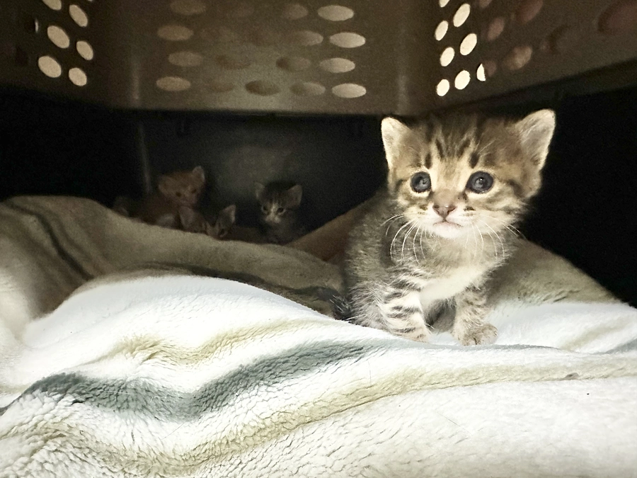 奈良も寒くなってきました