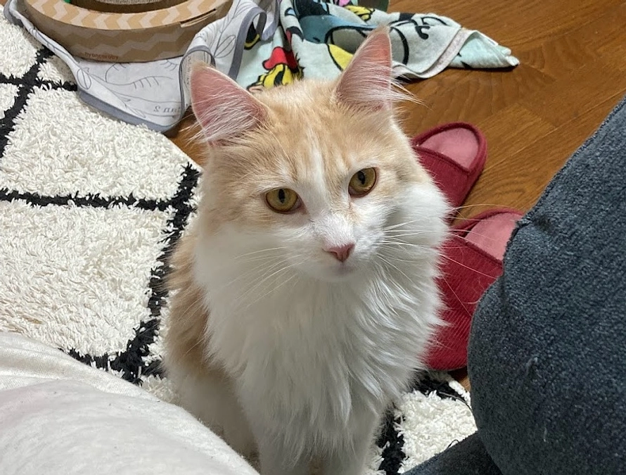 10/27ルイの様子