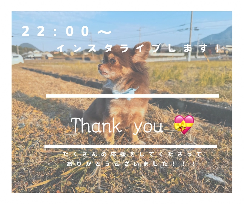 22:00〜 最後のインスタライブをします💝🐶🍀🌸