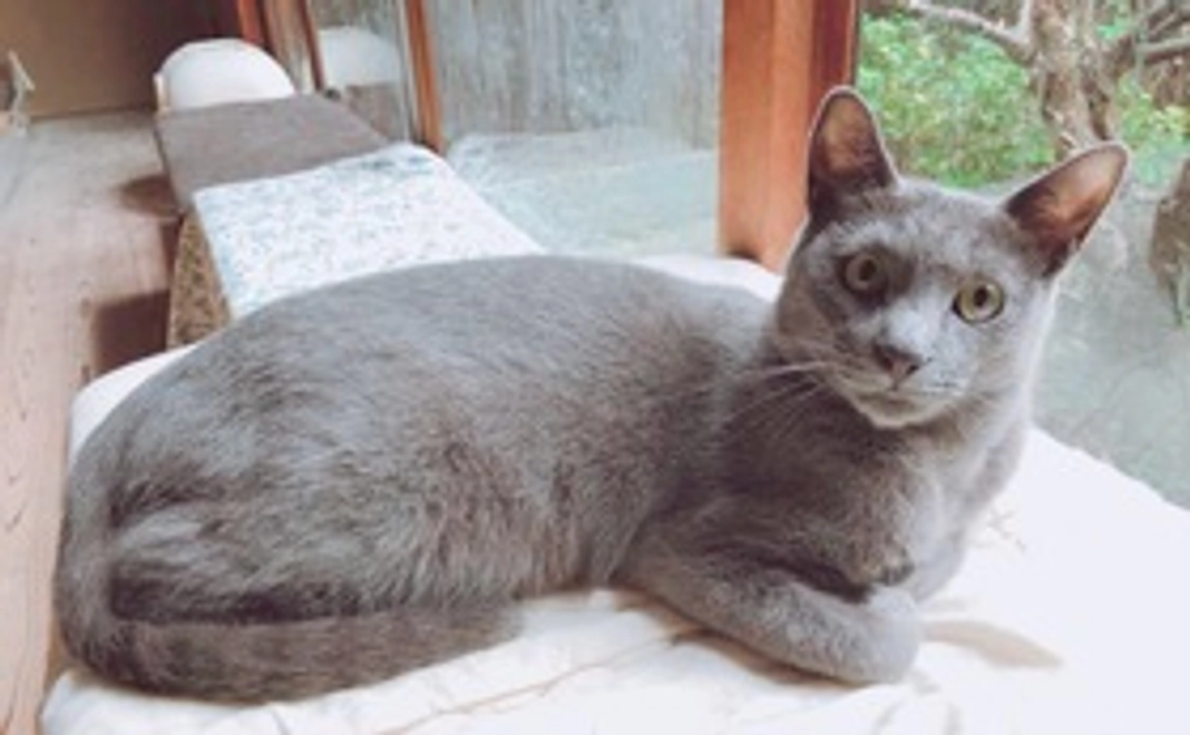 写真付き感謝のメール