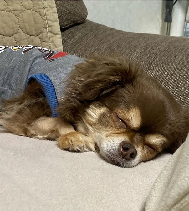 支えてくださった皆さまへ