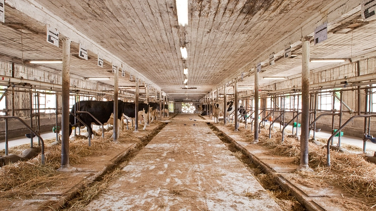 農業近代化の歴史を伝える重要文化財|小岩井農場の建築遺産を未来へ 9枚目