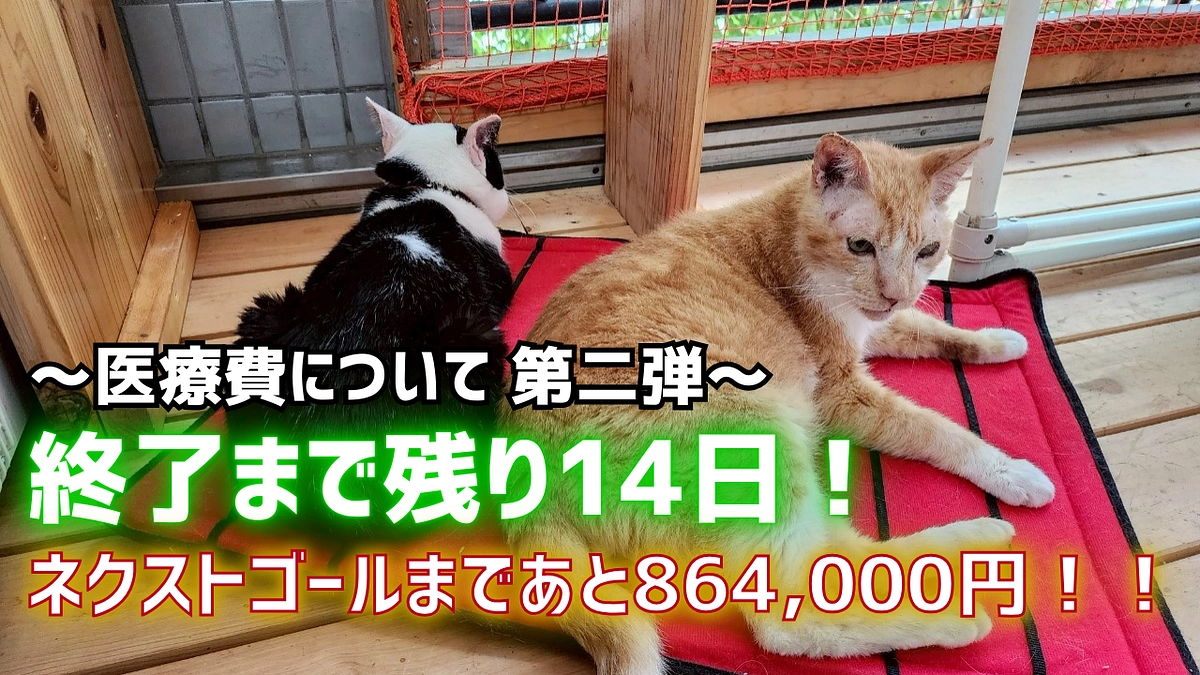 🏥医療費について 第二弾🏥終了まで残り14日！ネクストゴールまであと864,000円！！