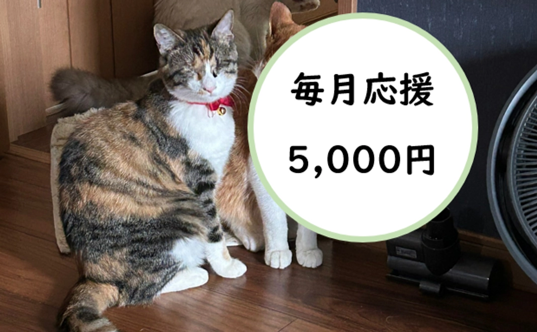 毎月応援！5,000円