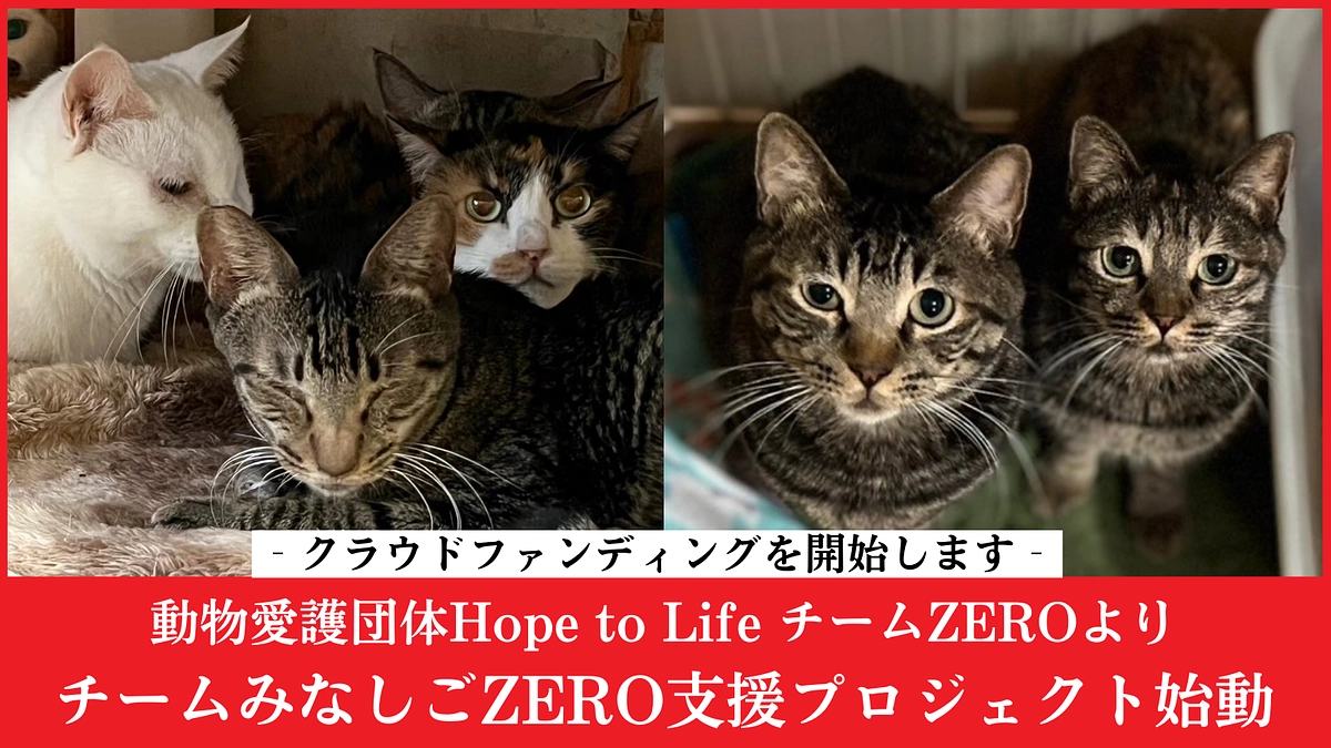 「チームZERO みなしご支援プロジェクト」クラウドファンディングが開始しました。