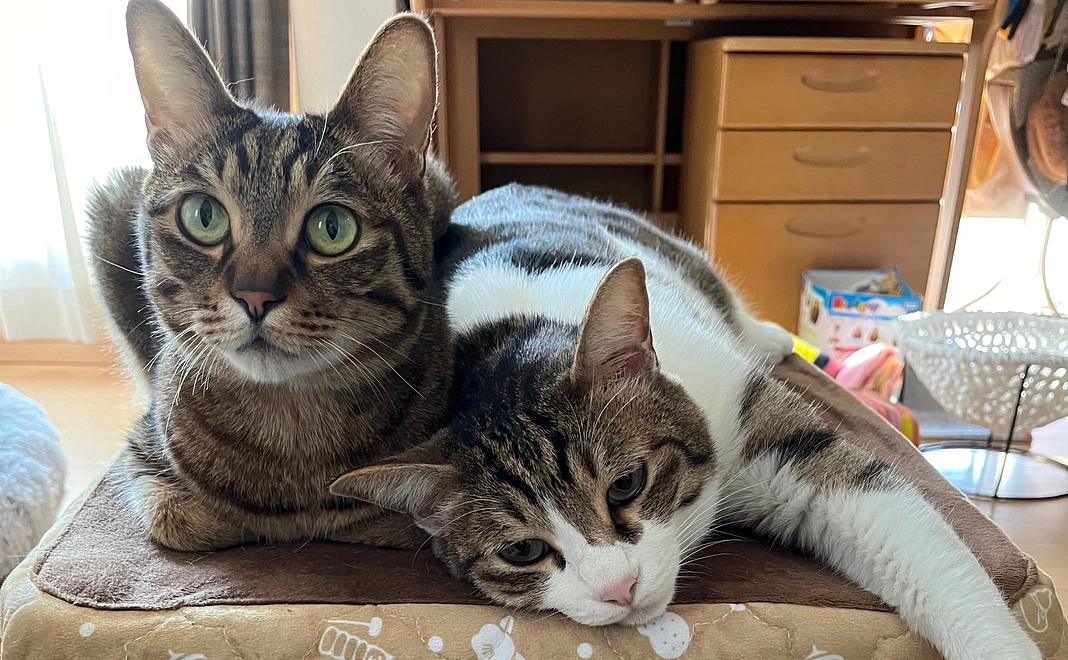 【リターンなし】1,000円コース