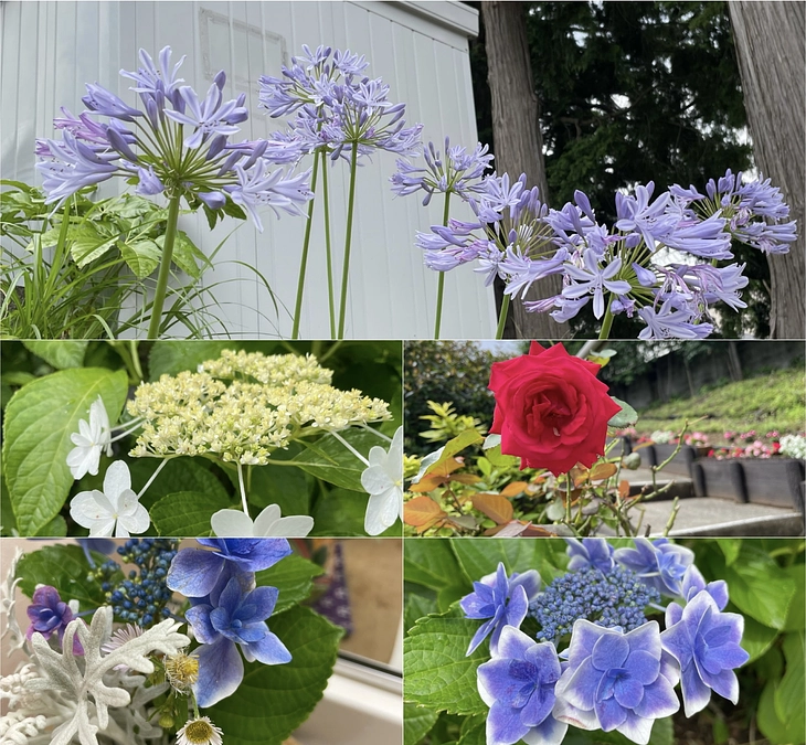 500万円を超えました！ありがとうございます！