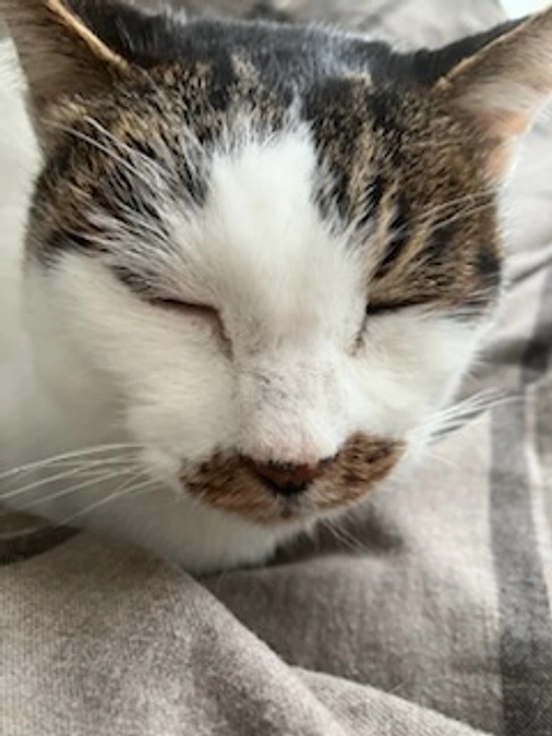 危険な状態です