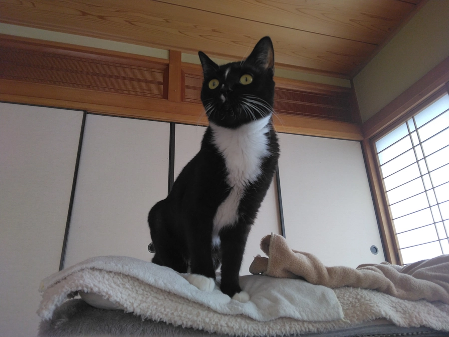 3/8はなちゃんの様子