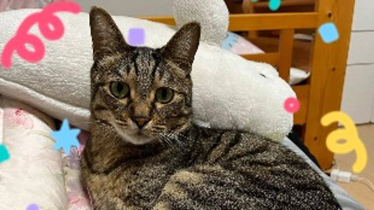 【目標金額達成しました🎊】