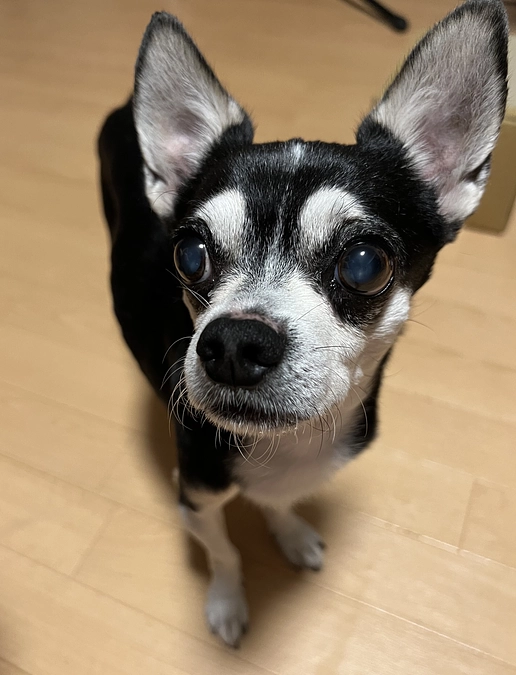 クラウドファンディング残り6日‼︎