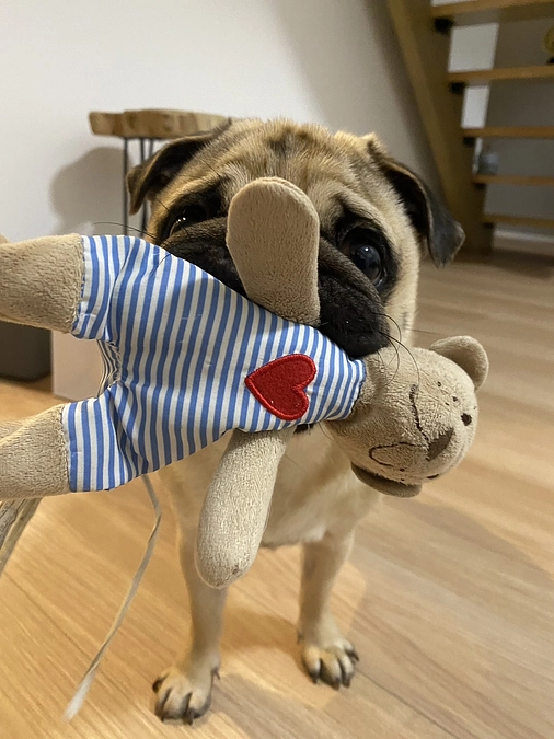 ★★プロジェクト終了まで、あと1時間30分です！！★★