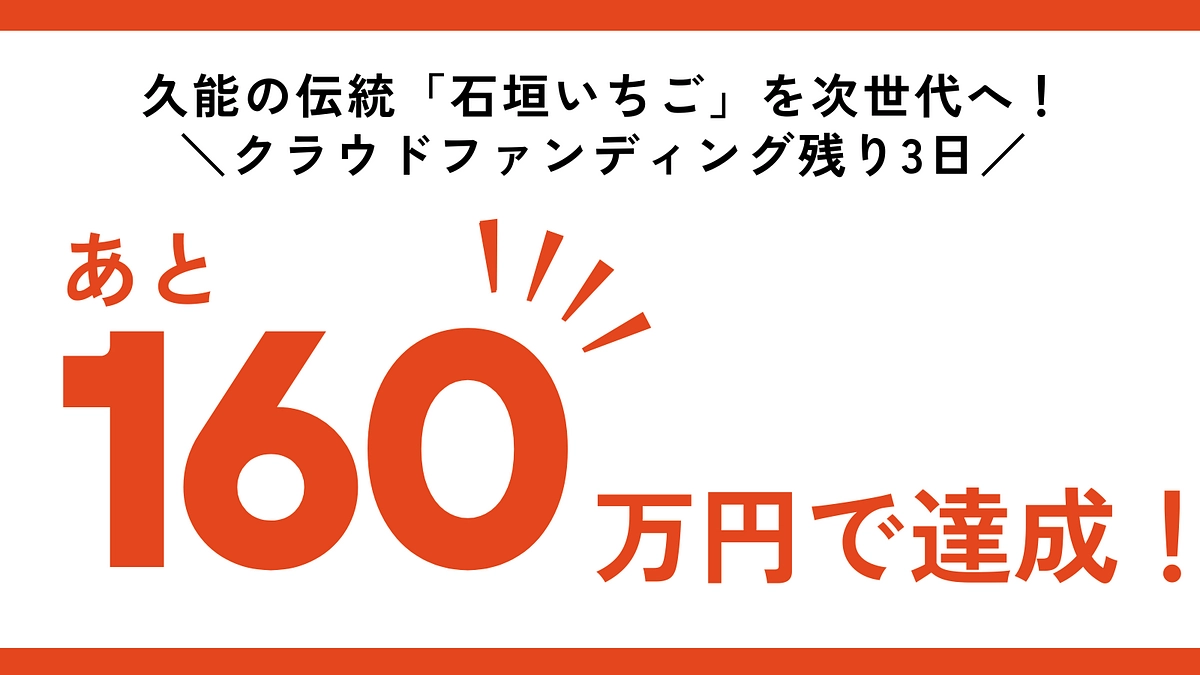 【残り3日】伝統農法「久能石垣イチゴ栽培」を次世代へ繋ぐプロジェクト、ご支援のお願い