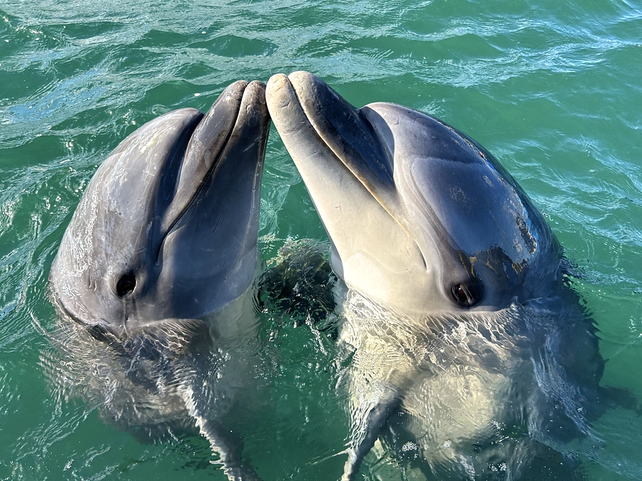 スタッフ紹介　【＃1 さっきー＆＃2 かえでちゃん】