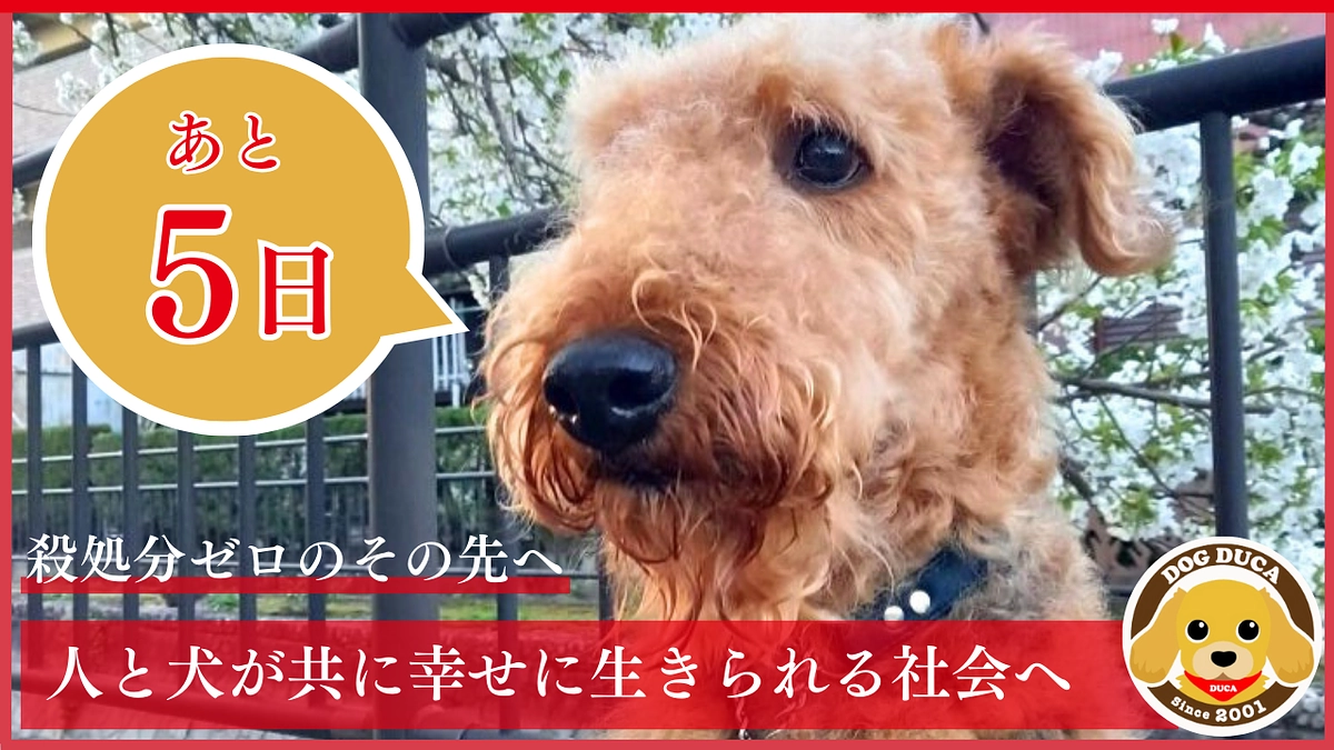 【残り5日】850万到達！皆様からの応援に、勇気をいただいています！！