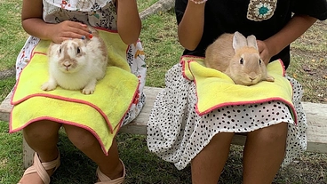 元気いっぱいの子供達が居る仁淀川町に出張動物園を呼びたい！ のトップ画像