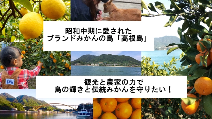 しまなみ海道の柑橘の島を体験型観光農園で盛り上げたい！