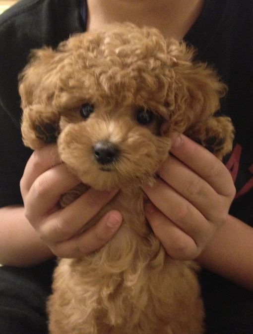 今日は比較的元気に過ごしてくれてます