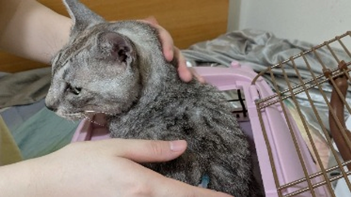 退院してきました。