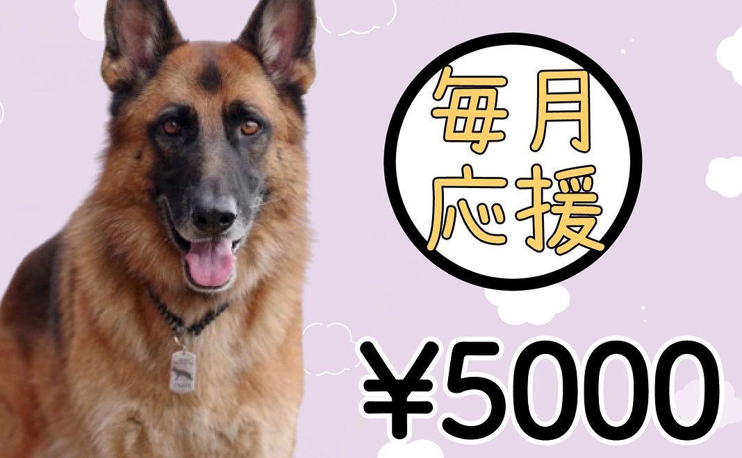 【毎月応援】5000円コース【継続応援】