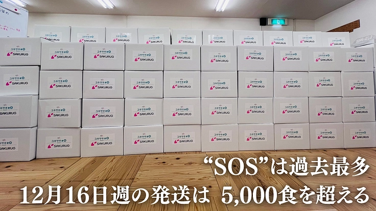 年末年始に孤立する若者からのSOS|緊急食糧支援2024 冬 2枚目