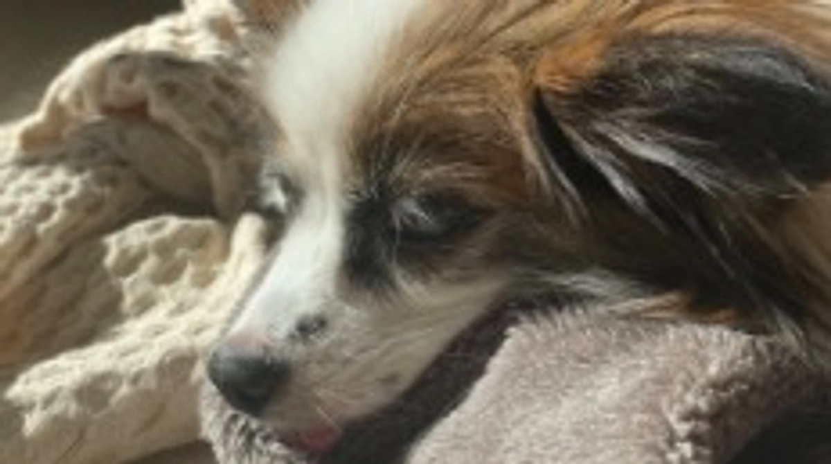 🐶トリュフと2人のインスタライブ🐶