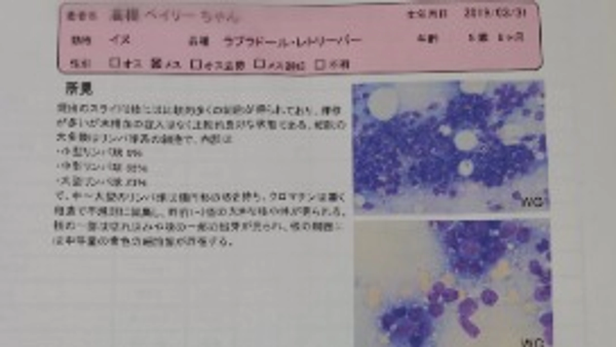 抗がん剤治療2w目