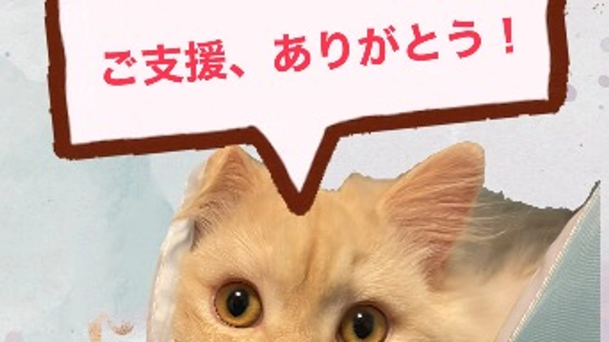 ご支援いただきありがとうございます🙇‍♀️