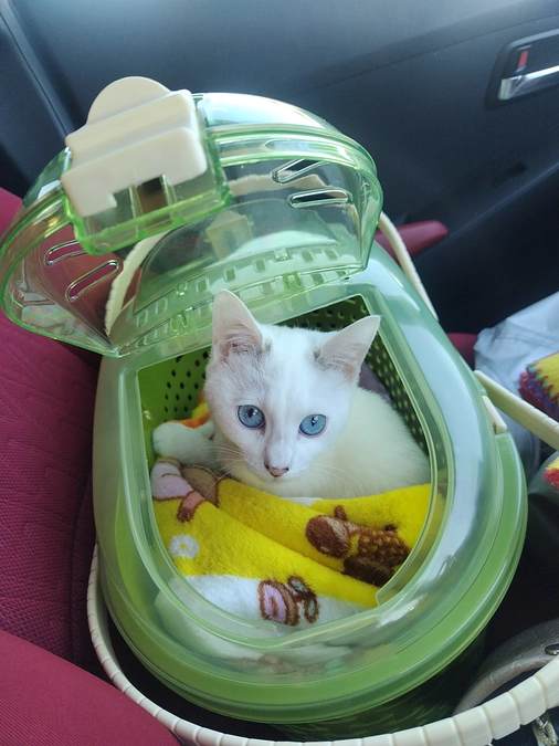 無事に抜糸終わりました！