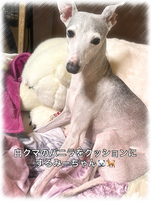 今日は調子が良さそう...♪