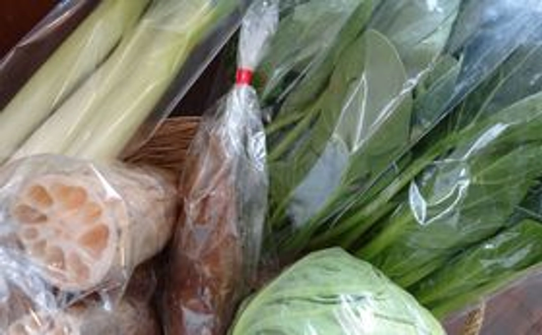 1．産直市場の野菜セット　付き応援コース